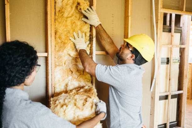 Insulation Replacement Services in Orono, MN